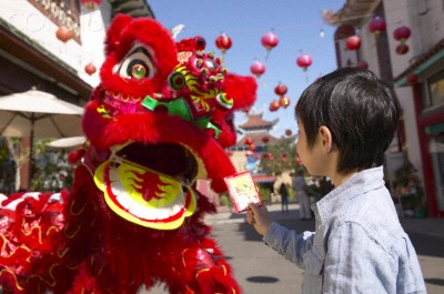 Lunar New Year Festival