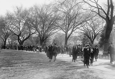 1919 cherry blossoms at Potomac Park